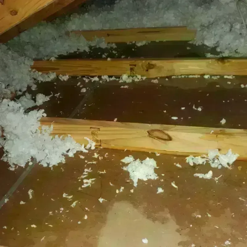 Attic Water Damage in DeRidder, LA